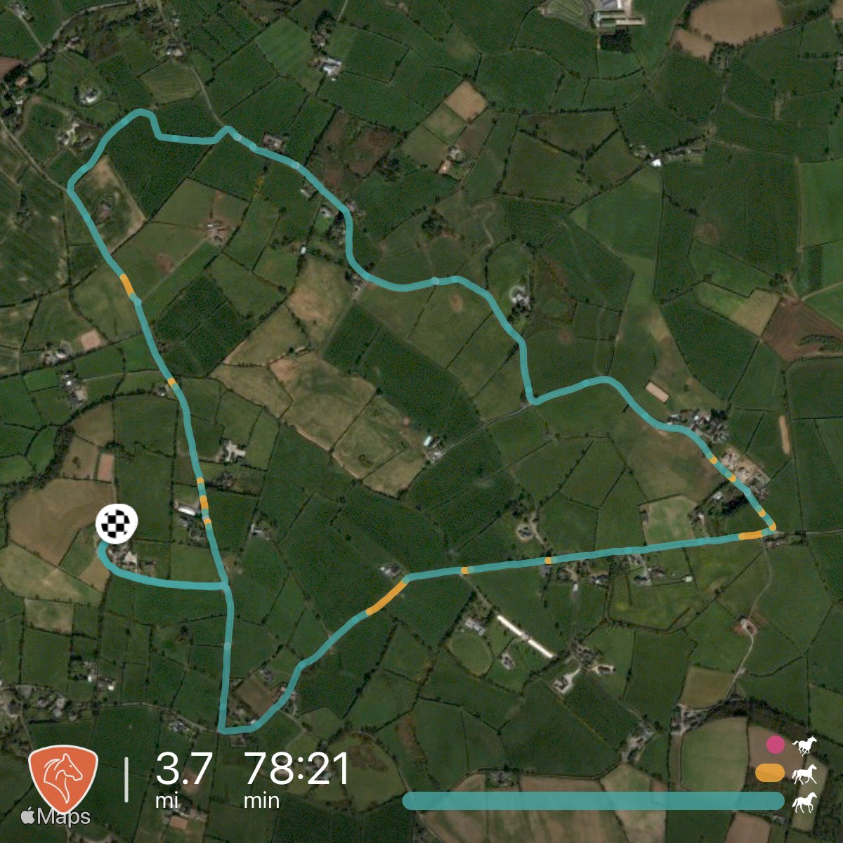 carol199's tweet image. A more sedate pace today! #Roxy #WeekendHacking #TiredPony