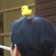 duckie k 
#tinyyonk #youngk #영케이