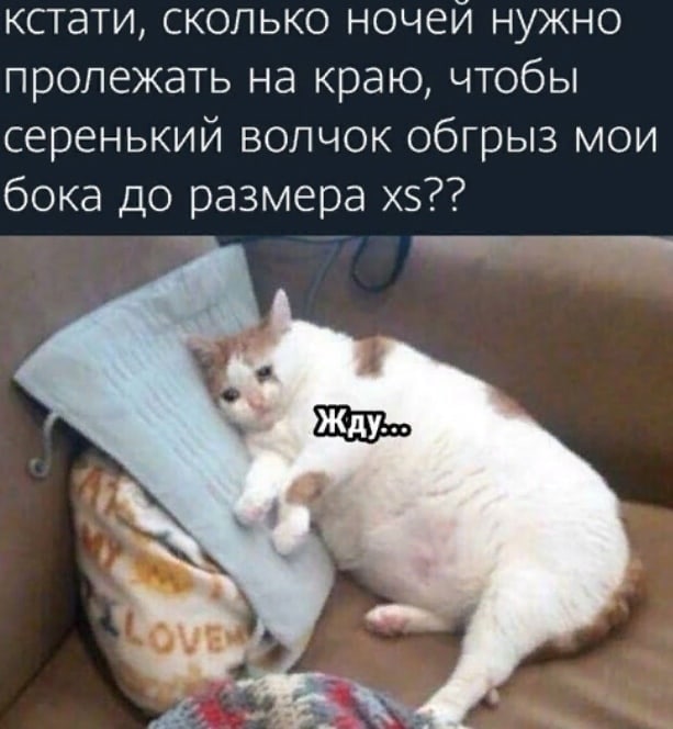 Продолжительность полярной ночи. Серенький волчок обкусай. Последствия от бессонных ночей. День вечер ночь по часам. Сколько звёзд на небе всех.