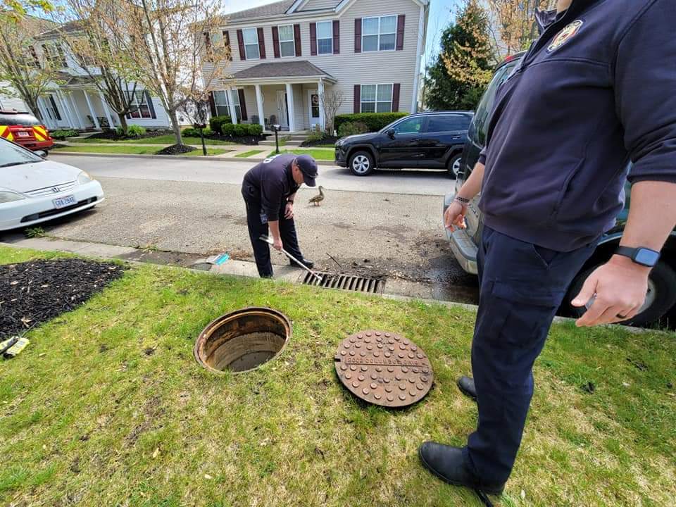 PlainTwpFire121's tweet photo. Yesterday 3 Unit had a ducks in distress call. L121crew found 10 ducklings fell through a storm sewer grate. FF Essick entered the manhole while FFs DuBeck, Pershing &amp; Lt Reasoner worked to run them to a point of rescue. All 10 babies were reunited with a very worried momma duck. https://t.co/locDd9DWyQ
