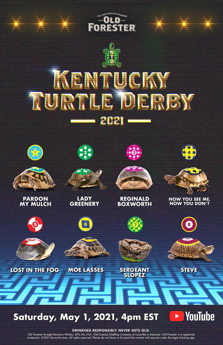 northendyogini's tweet photo. If your heart can stand the excitement, I recommend watching the Kentucky Turtle Derby today at 4p: https://t.co/SkwsAVCF3j
#turtlederby 🐢 https://t.co/WzNEGarXOk