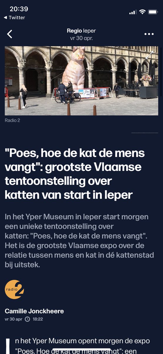 WIE WILT MET MIJ NAAR DE KATTENTENTOONSTELLING IN IEPER????