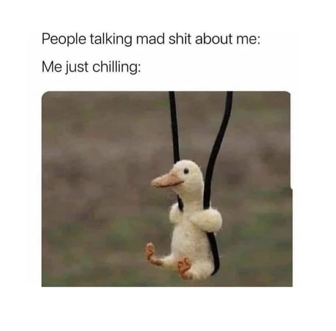 introvertsmemes's tweet photo. 🤷🏻‍♂️ https://t.co/ticYwXWVby