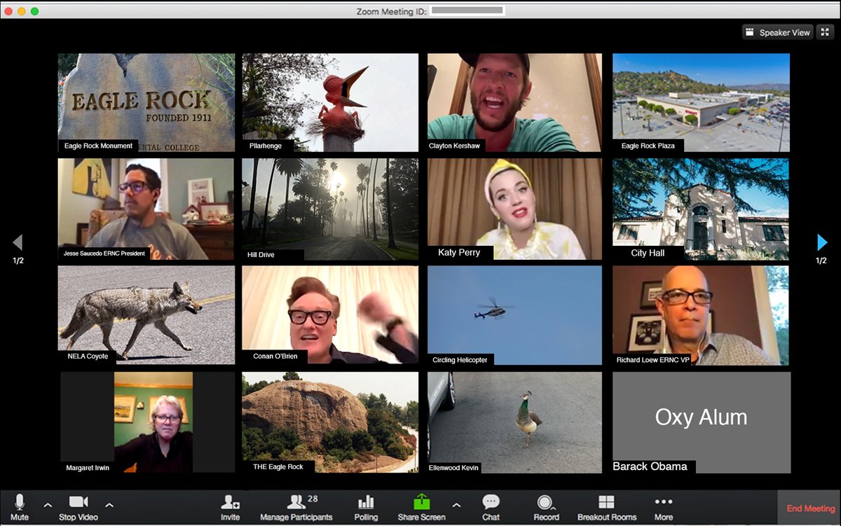 ERNC Board Meeting, New Board, Open Seats and more... - mailchi.mp/ernc/ernc-news…