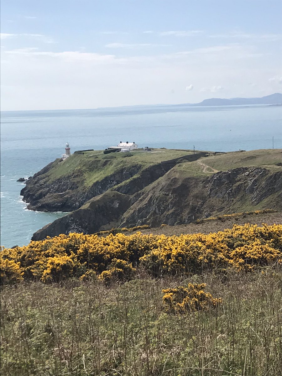 niccon188's tweet photo. @MichaelsCoDub Glorious day in Howth today 😎 https://t.co/HPMvZvjacA