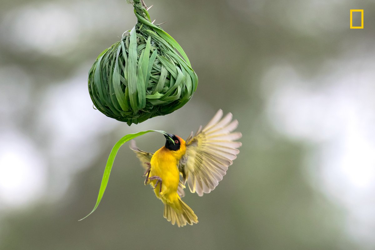 No act of kindness no matter how small is ever wasted.

- Aesop -