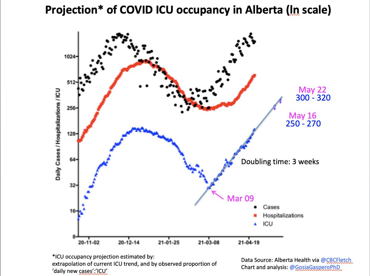 COVID-ICU numbers grow in a clear exponential fashion since Mar 09. Doubling every 3 weeks.At this rate we may expect:May 16, 250-270 ICUsMay 22, 300-320 ICUs4/