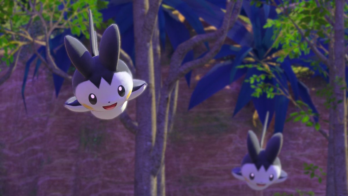 charizardmosh's tweet photo. Here’s some of my favorite photos from Florio Nature Park in New Pokémon Snap! I’m looking forward to seeing everyone else’s photos! @Pokemon #PokemonSnap #NewPokemonSnap #PokemonPhotography #PokemonPhotographer #Florges #Emolga #Pichu #Pidgeot #Magikarp https://t.co/BxULJ6Fh24
