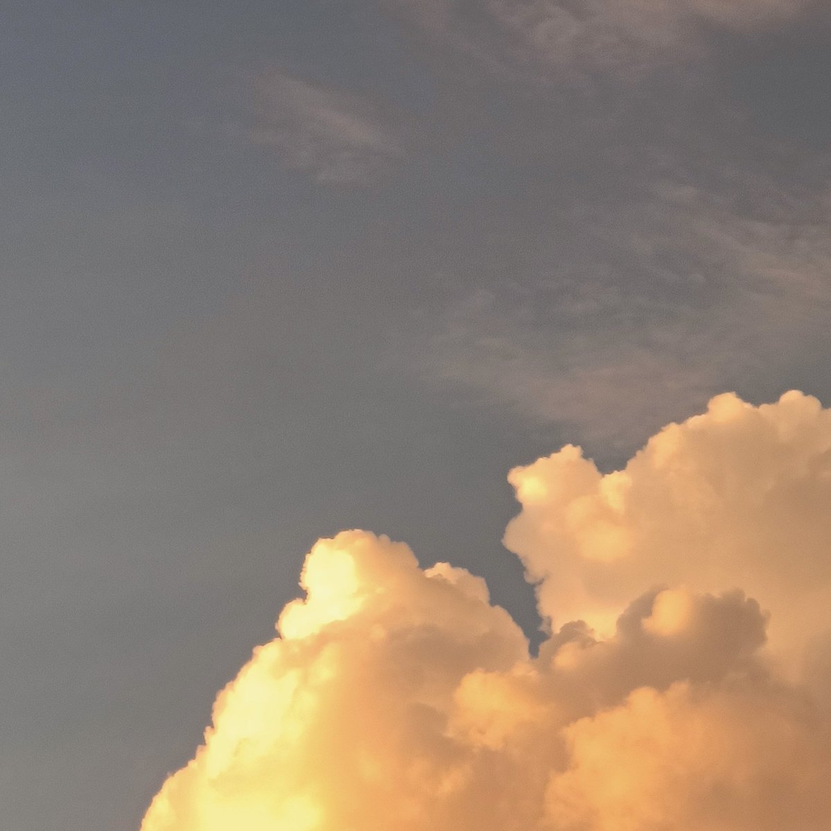 stdxx1's tweet image. คิดถึงหว่ะ