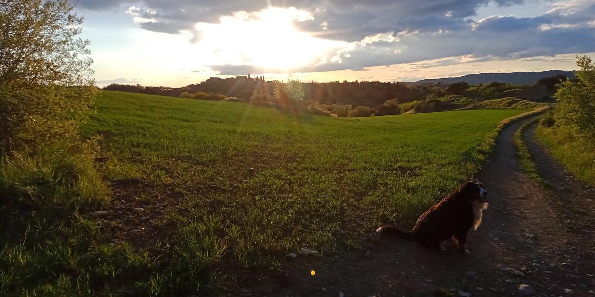 Sempre penso que hi ha moltes persones i entitats que pensen amb i per nosaltres...Però que lo important és la seva supervivència i no la nostra! "Que el llegir no ens faci perdre l'escriure!" deien a casa! #petitapagesia #productesdecalpalà #pradesdelamolsosa <a href="/territorimasies/">Territori de Masies</a>