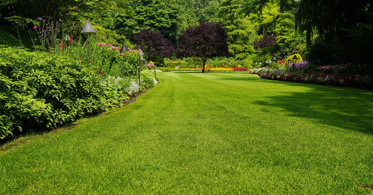 How does your lawn look? thisoldhouse.com/lawns/21255891…