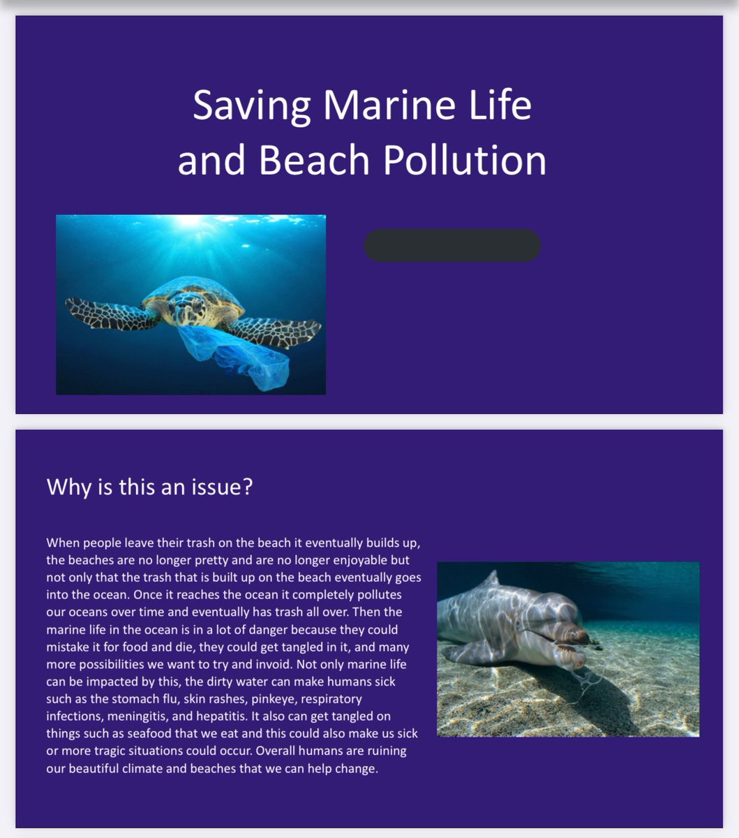 This student learned about saving marine life and beach pollution, and made a slideshow to raise awareness.  #socialjusticeexploration  #mtsdvt  #sschat  #vted