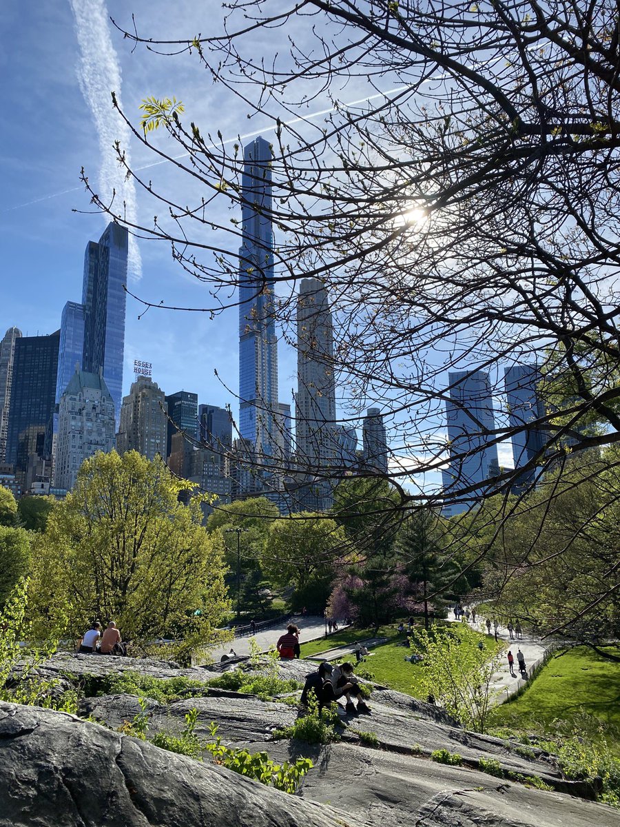 Прямое включение из центрального парка. Ловите фото!