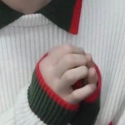 Sweater paws 