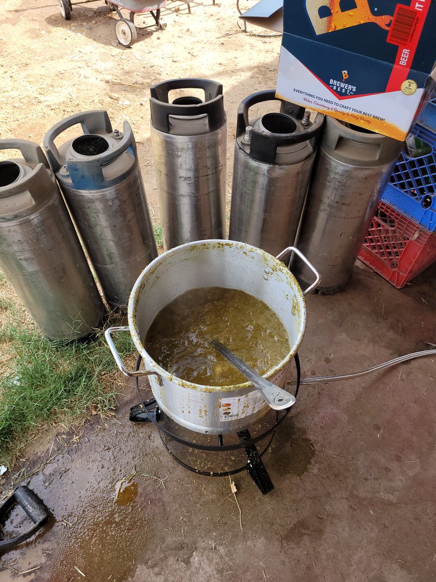 I'm doing something nice today. A Kölsch is in my future. <a href="/BrewersBestKits/">Brewers Best</a>