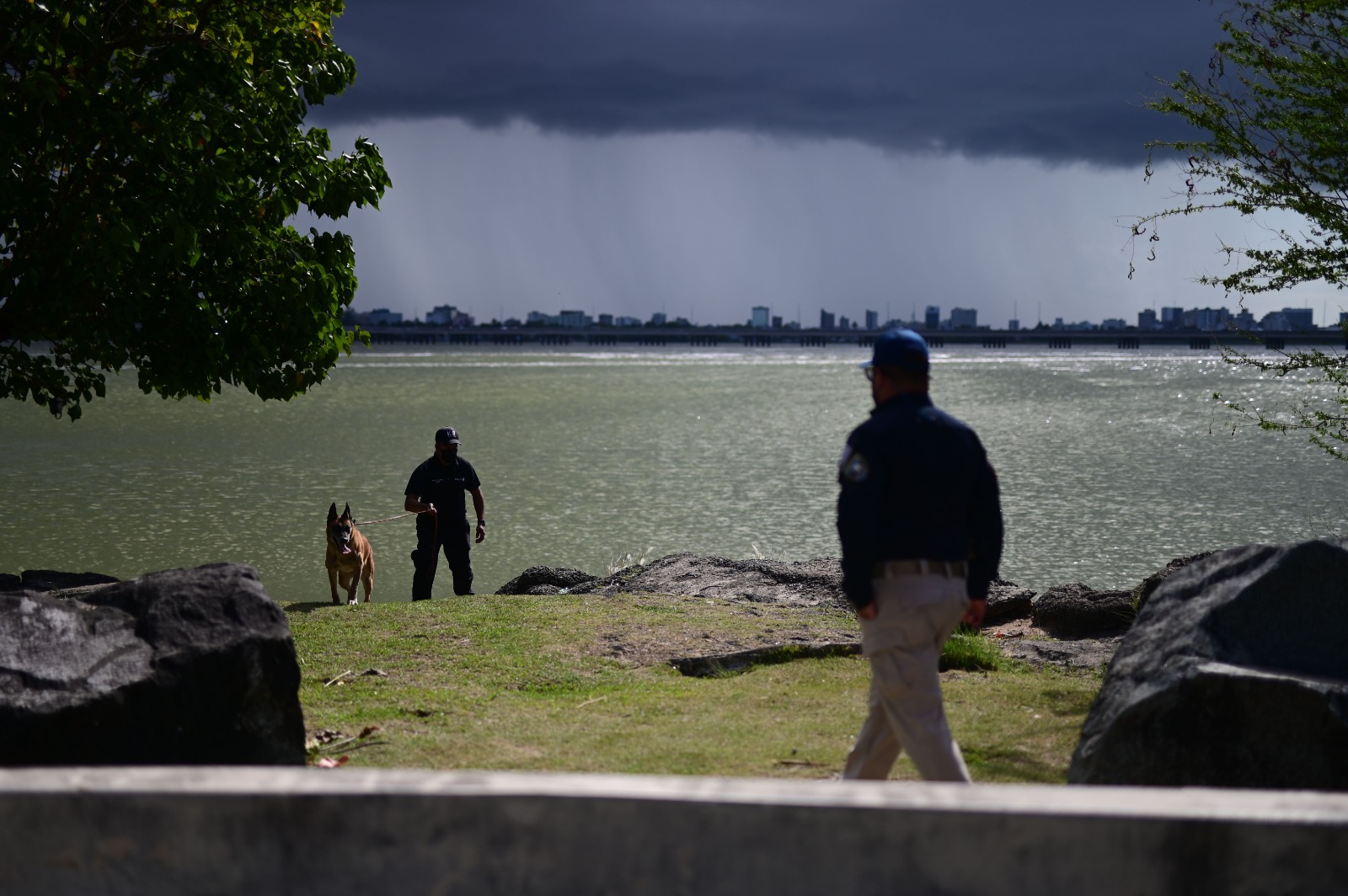 El Vocero de Puerto Rico on Twitter: 