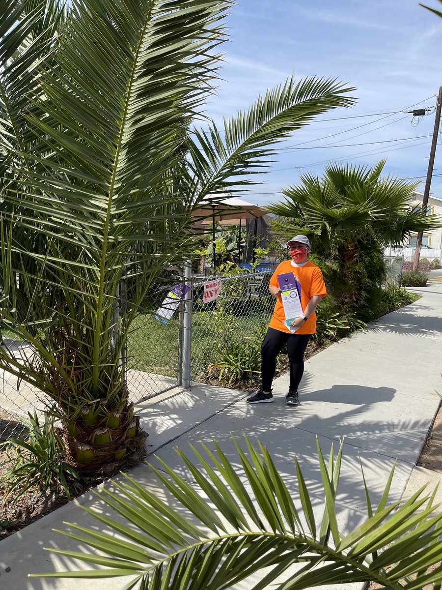 alesotelosolis's tweet photo. This AM, May 1st-International Day of the Worker-over 50 Union brothers &amp; sisters alongside other community members, dropped 4,000 COVID-19 vaccine info door hangers in our @CityOfNatlCity neighborhoods! 

Herd immunity: 48,000 of 60,000! Currently @ 25,000!#StrongerTogether👊🏽💜 https://t.co/xxBGQlDFXw