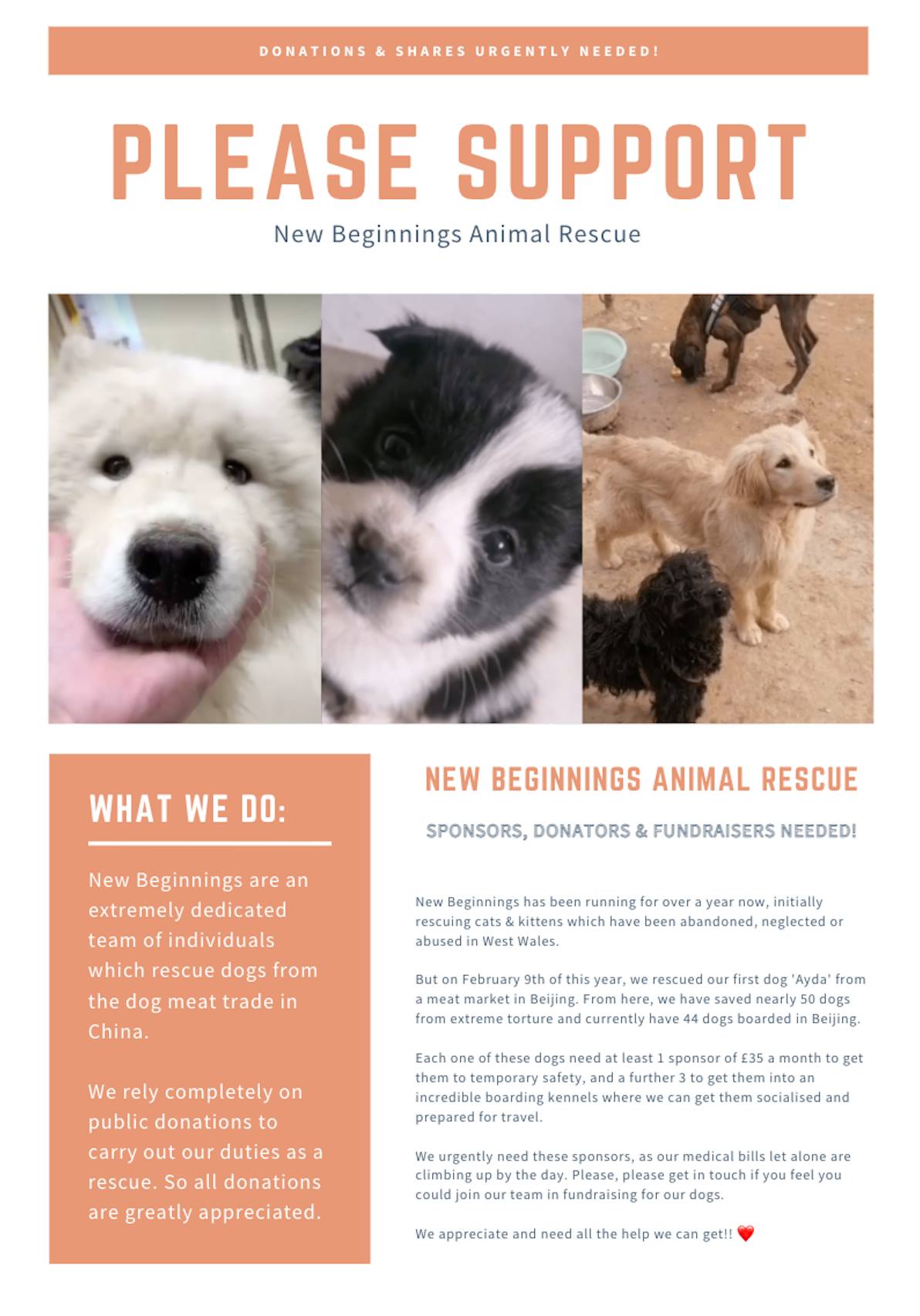 New beginnings animal sales rescue near me