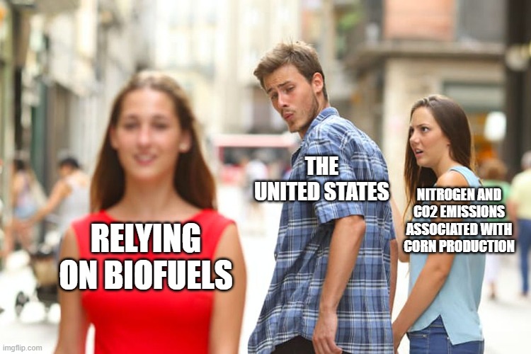 Biofuels come with some serious externalities.