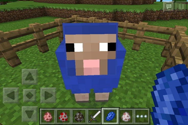 niall horan as minecraft sheeps ; a thread :