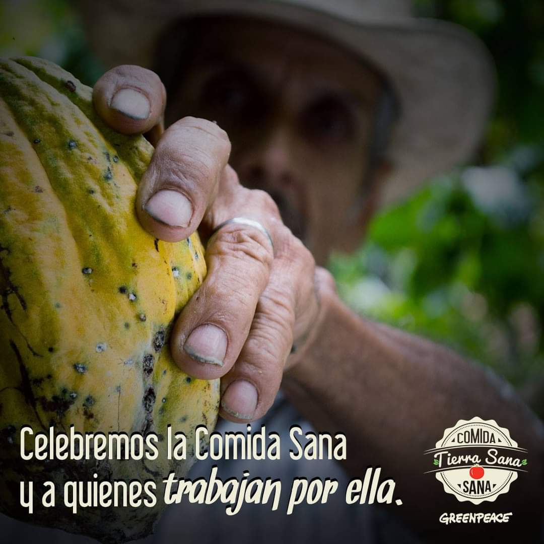 MolinodeRosasDF's tweet image. 