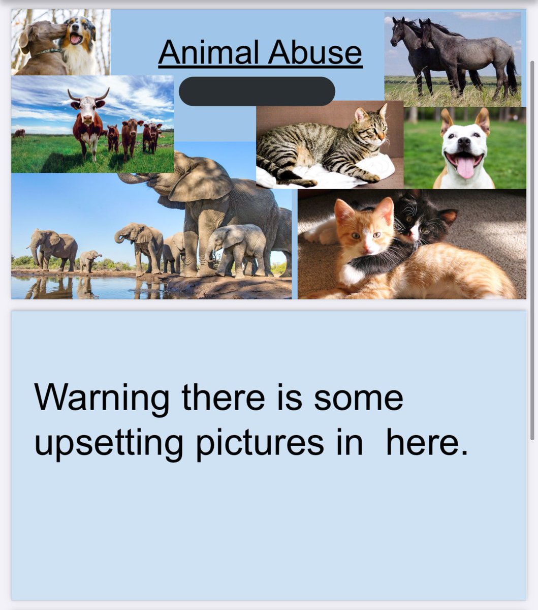 This student raised awareness about animal abuse by creating a slideshow with the information they learned.  #socialjusticeexploration  #mtsdvt  #sschat  #vted