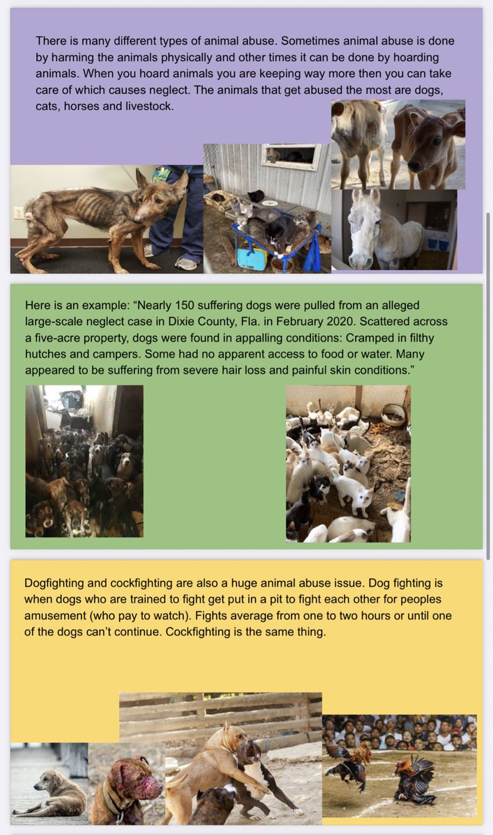 This student raised awareness about animal abuse by creating a slideshow with the information they learned.  #socialjusticeexploration  #mtsdvt  #sschat  #vted
