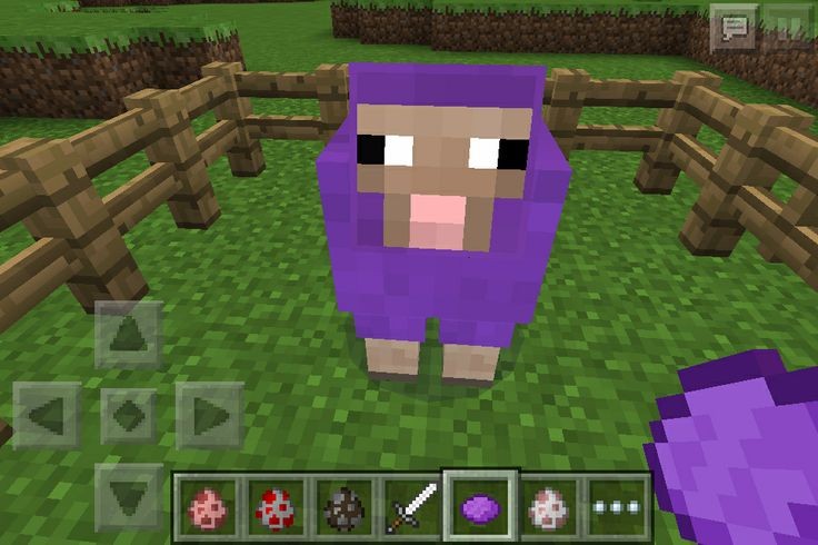 niall horan as minecraft sheeps ; a thread :