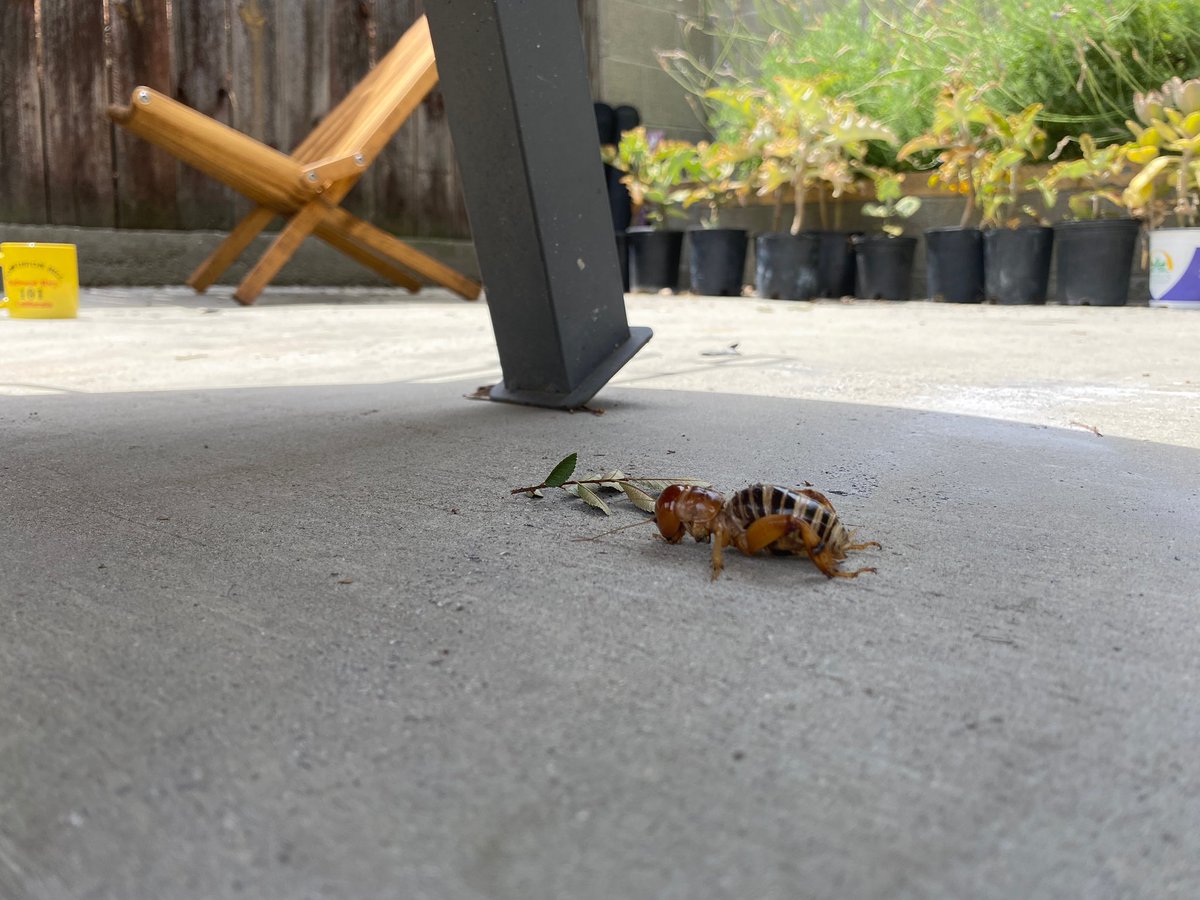 Emily Womack (she/her) tweet media