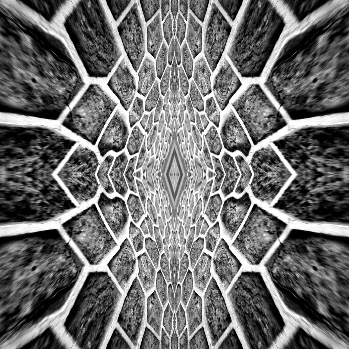 #blackandwhitephotography #4up