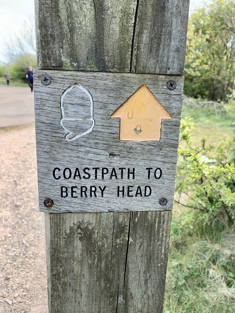 loulouscorpio's tweet image. Been an intensive week of Zooming, Monday all day @NICEComms Safe Prescribing Guideline Committee, then 3 whole days at #BPSASM2021
So today we started with a much needed #swimble water almost 12c &amp;amp; managed 20 mins #BLISS then a 5 mile #bimble 
#EveryoneNeedsNature