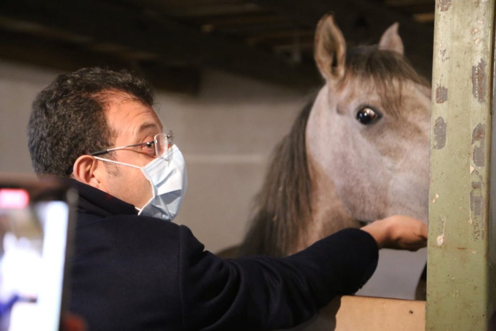 At'ın eko ya bakışı sanki başlarına neler geleceğini anlamış gibi 

#978AtNerede