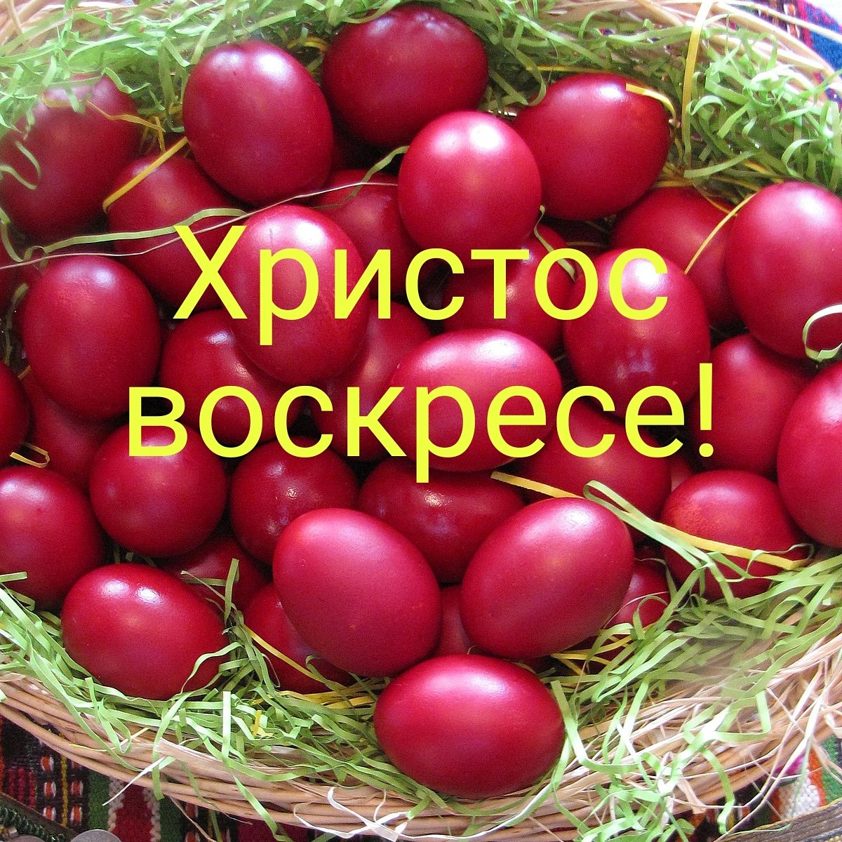 Igor Rossi (@igorros61446404) on Twitter photo 