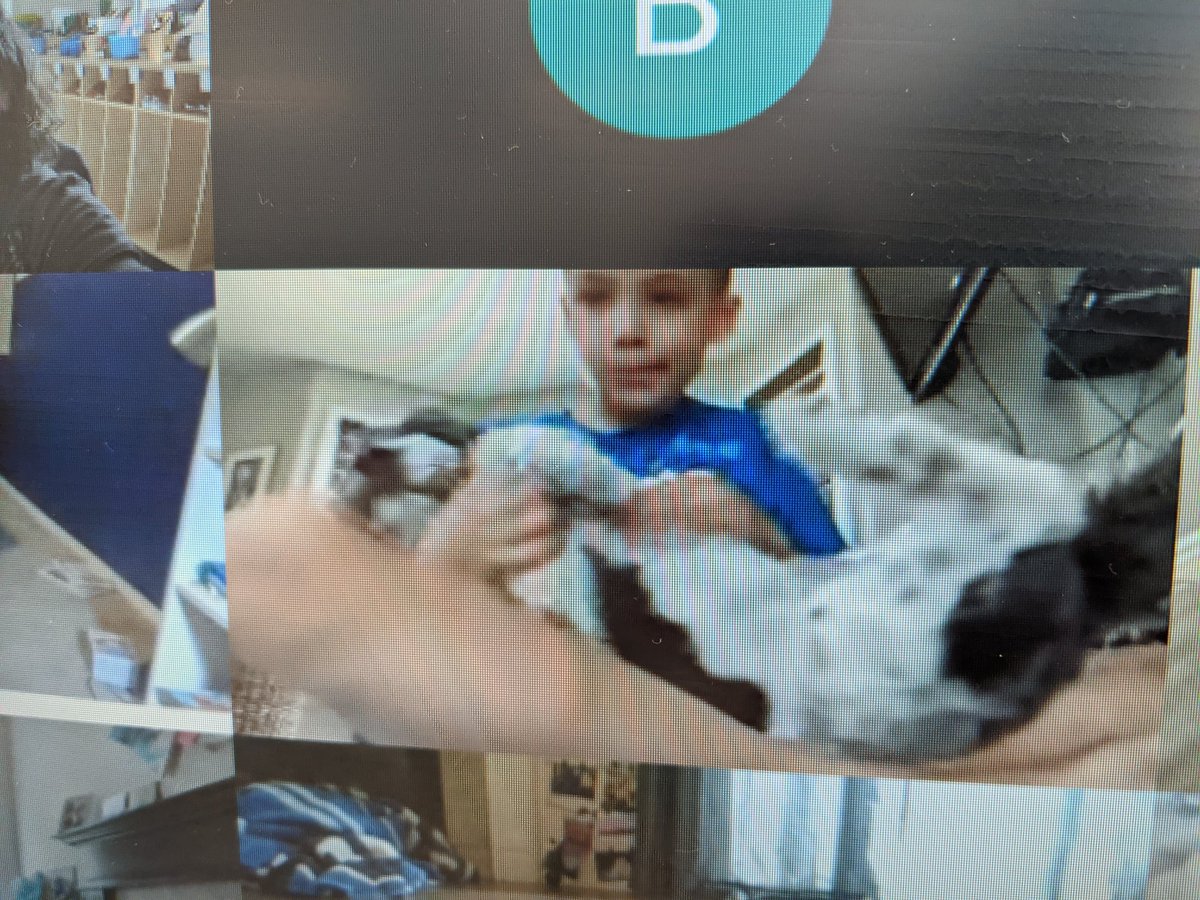 MsBarringtonCG's tweet image. Probably my favourite part of #fmpsdlearningathome this week? These doggos joining @yoga_sisters and us for some #friyay yoga 🤣😂 @ChristinaGFMPSD @FMPSD @appleschools #iteachthird #healthyschools #grade3istheplacetobe