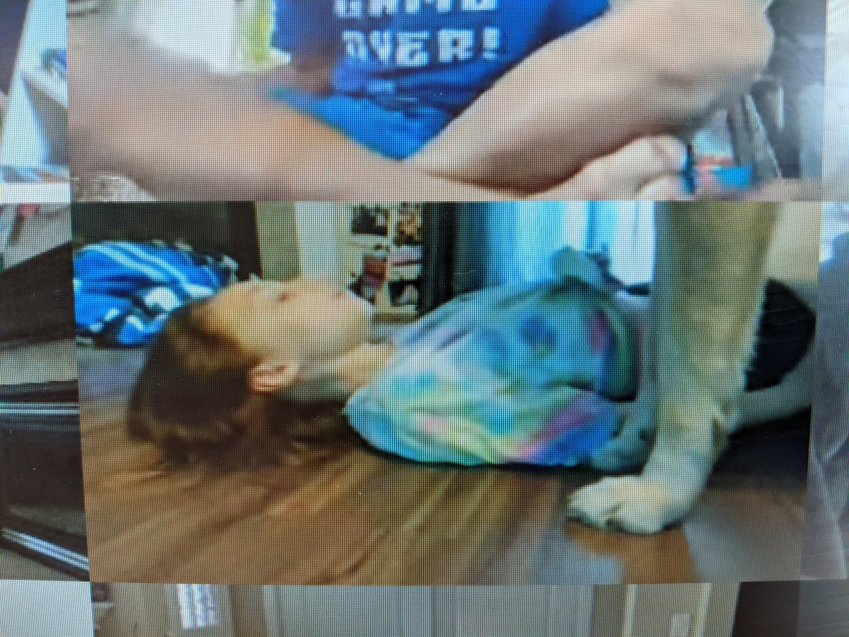 MsBarringtonCG's tweet image. Probably my favourite part of #fmpsdlearningathome this week? These doggos joining @yoga_sisters and us for some #friyay yoga 🤣😂 @ChristinaGFMPSD @FMPSD @appleschools #iteachthird #healthyschools #grade3istheplacetobe