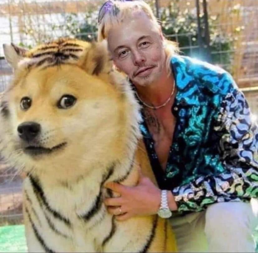 OLIVER19911's tweet photo. @elonmusk #dogecoin 🚀🚀🔥 https://t.co/ZsaxYV9f3h