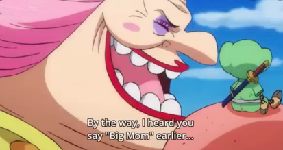 It's also interesting that Big Mom keeps on remarking about how the Straw Hats have so many interesting creatures on their crew and that so many now have a strangely friendly connection with her or similar character traits, like Nami sharing her maternal instinct.