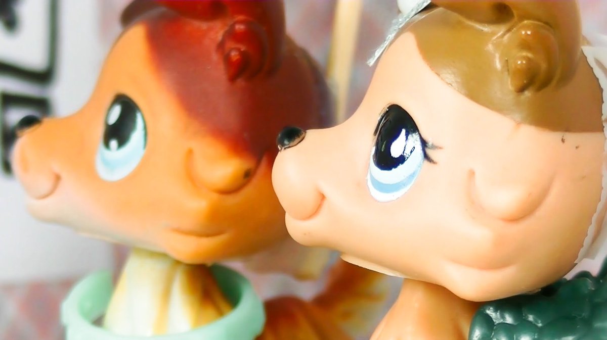 7/8) 𝕂𝕒𝕥𝕖 𝔸𝕝𝕚𝕔𝕖 𝕎𝕒𝕣𝕣𝕖𝕟 \u0026 ℕ𝕠𝕒𝕙 𝕊𝕒𝕟𝕕𝕖𝕣 💙💚 (𝗙𝗿𝗼𝗺  \, image size:1200x673