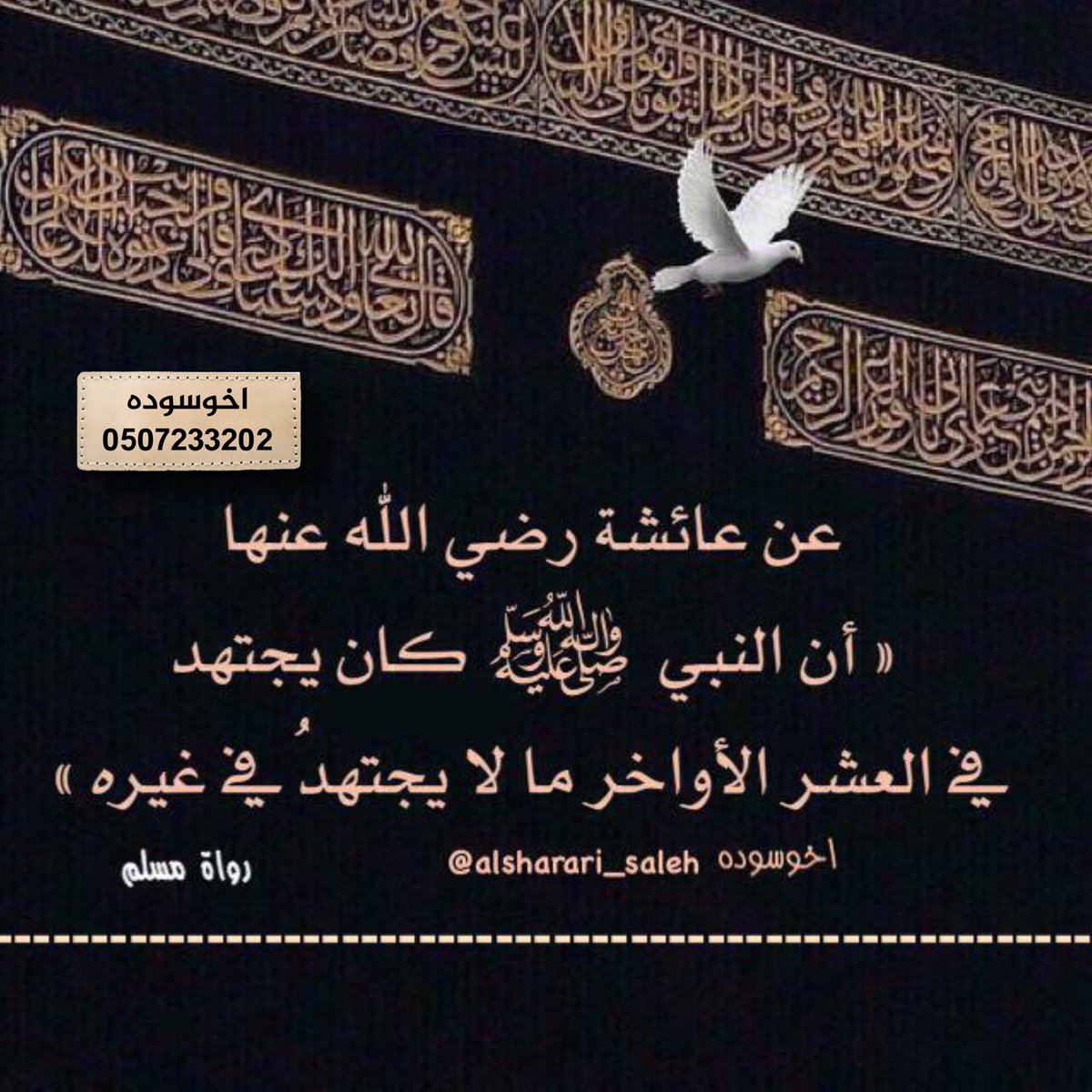 اخوسوده صالح أبورياض (@alsharari_saleh) on Twitter photo #العشر_الأواخر
عن عائشة رضي الله عنها أن النبي ﷺ كان يجتهد في العشر الأواخر ما لا يجتهد في غيره.
#رمضان  #اخوسوده #ليلة_القدر #العشر_الأواخر
عن عائشة رضي الله عنها أن النبي ﷺ كان يجتهد في العشر الأواخر ما لا يجتهد في غيره.
#رمضان  #اخوسوده #ليلة_القدر