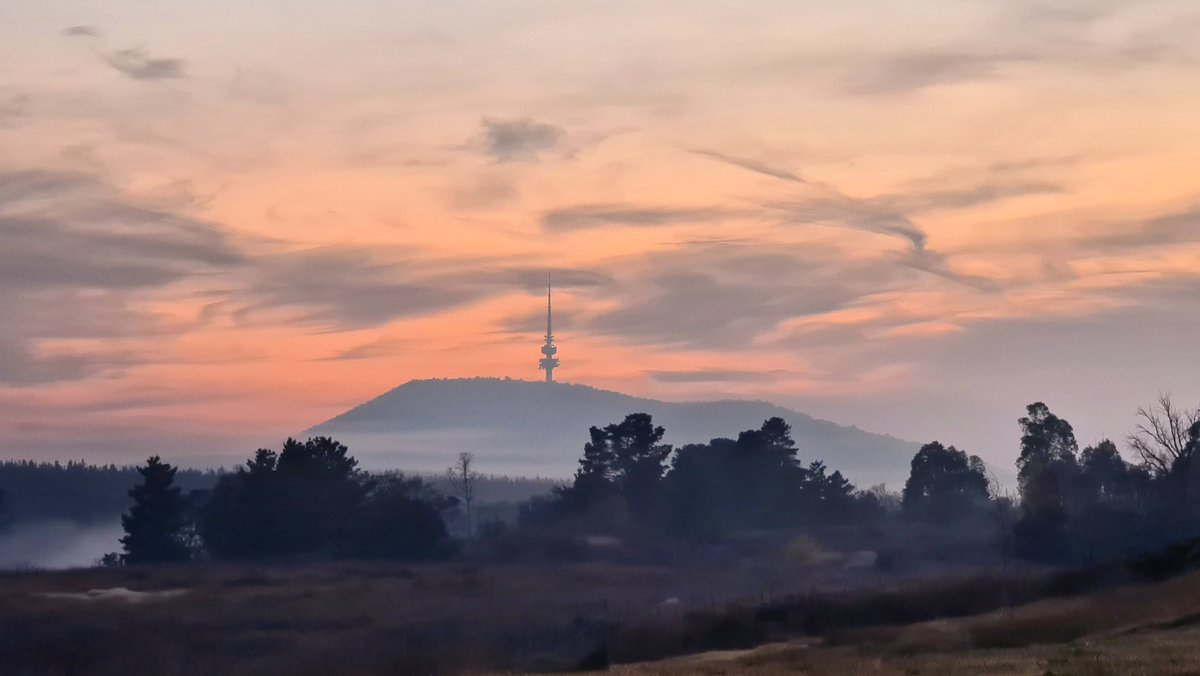 scottyimhoff's tweet photo. I haven't tweeted for a while ... so here are some 📸 from my short long #run this morning around #StromloForest and the @NatArboretum 🏃‍♂️ #autumn in #Canberra is pretty awesome 😊🍂🍁

@abccanberra @canberratimes @visitcanberra @ACT_Parks #visitcanberra #cbr #abcmyphoto #sunrise https://t.co/TnciePlzel