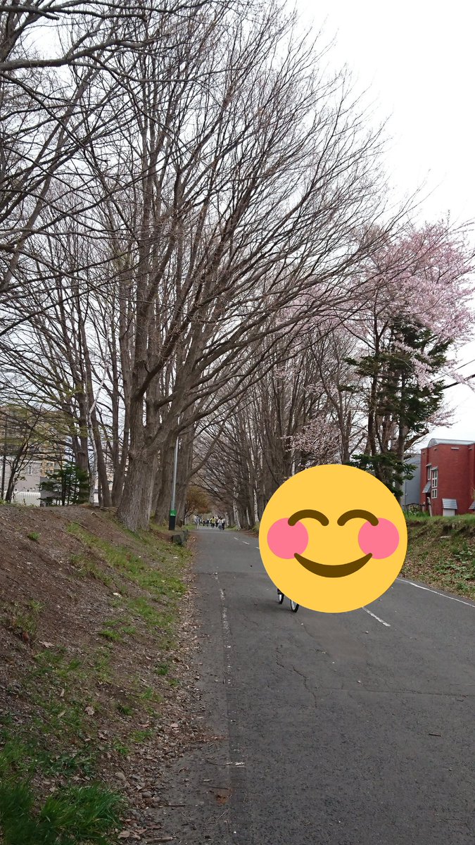 陽だまりロード 陽だまりロード