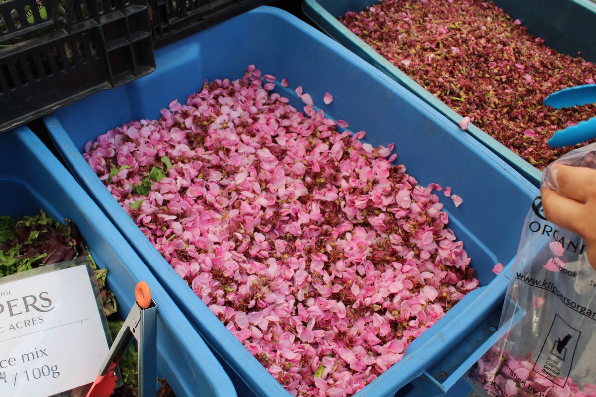 カナダでは桃の花びらが食用として売られていると聞いてびっくりだし気になるし 日本では見かけないなぁ Togetter カナダでは桃の花びらが食用として売られていると聞いてびっくりだし気になるし 日本では見かけないなぁ Togetter