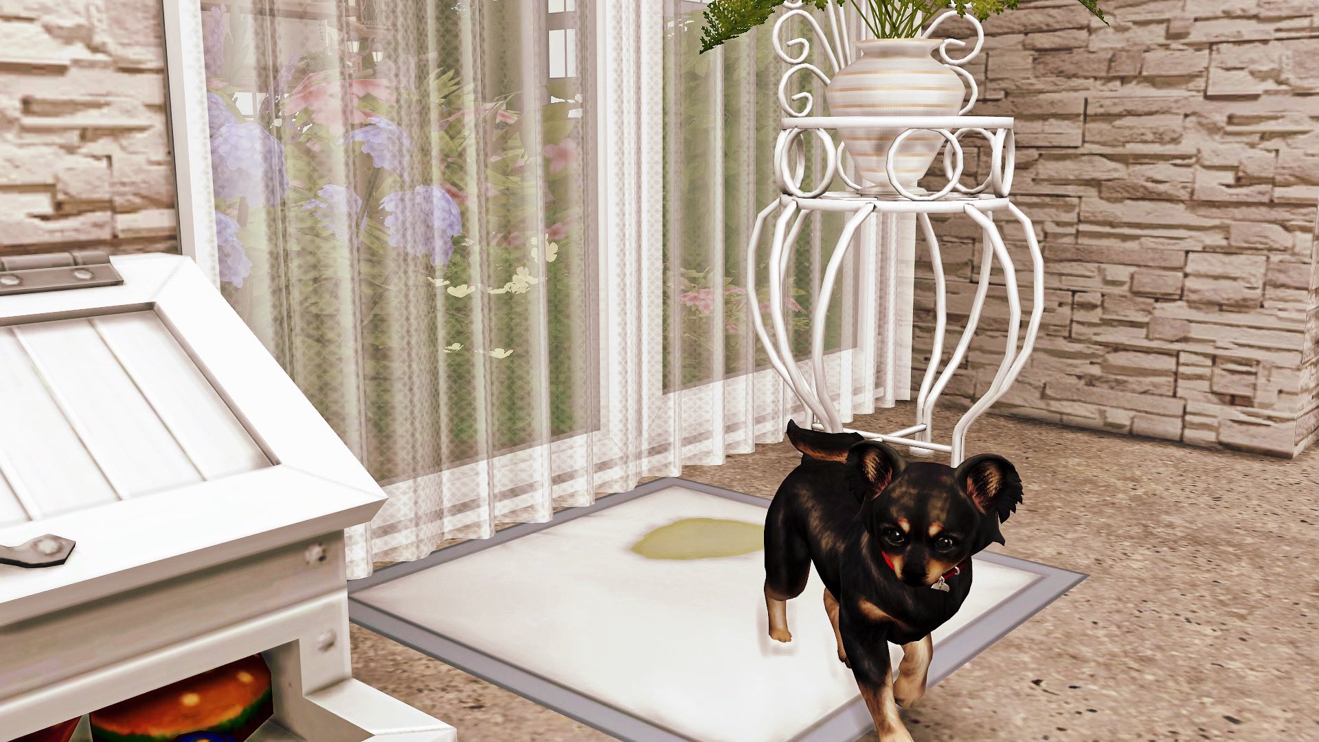 ゆん これ犬用トイレシート 早速使ってみた Maruさん Maru ご紹介ありがとです Maruさんのルパンファン Sims4 シムズ シムズ4 Thesims T Co L23qafotgn Twitter ゆん これ犬用トイレシート 早速使ってみた Maruさん Maru ご紹介ありがとです Maruさんのルパンファン Sims4 シムズ シムズ4 Thesims T Co L23qafotgn Twitter