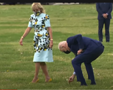 Sylvia_EPT's tweet image. Dandelion... how sweet!