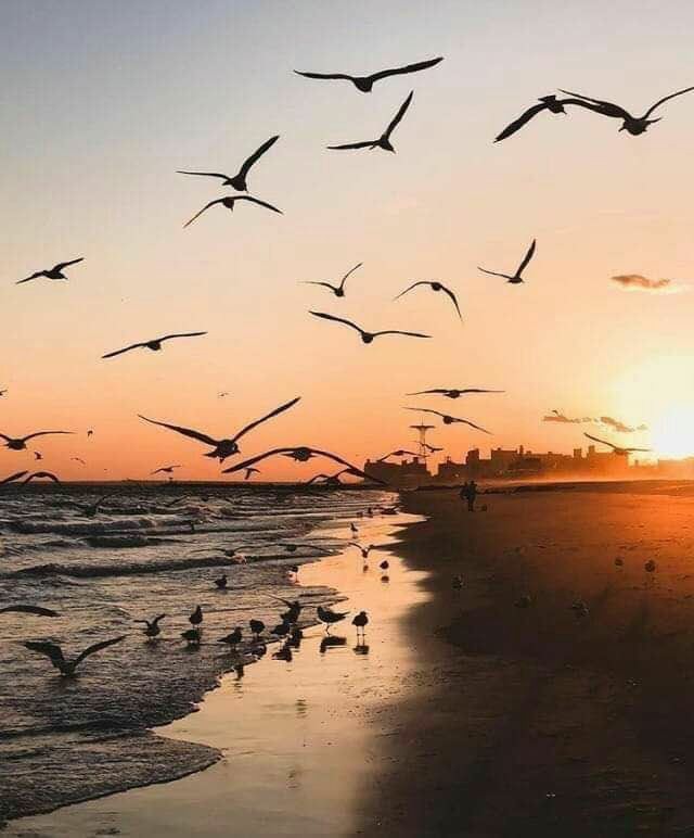 Good morning friends.
#nature #NaturePhotography