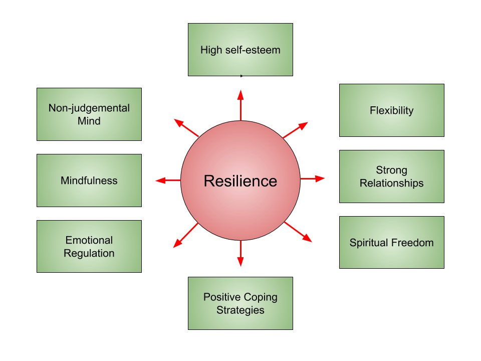 Resilience is the ability to adapt to stress & disappointments while developing the insight to avoid actions that might lead us to face such situations. It’s the capacity to maintain competent functioning in the face of life stressors.These are the building blocks of resilience