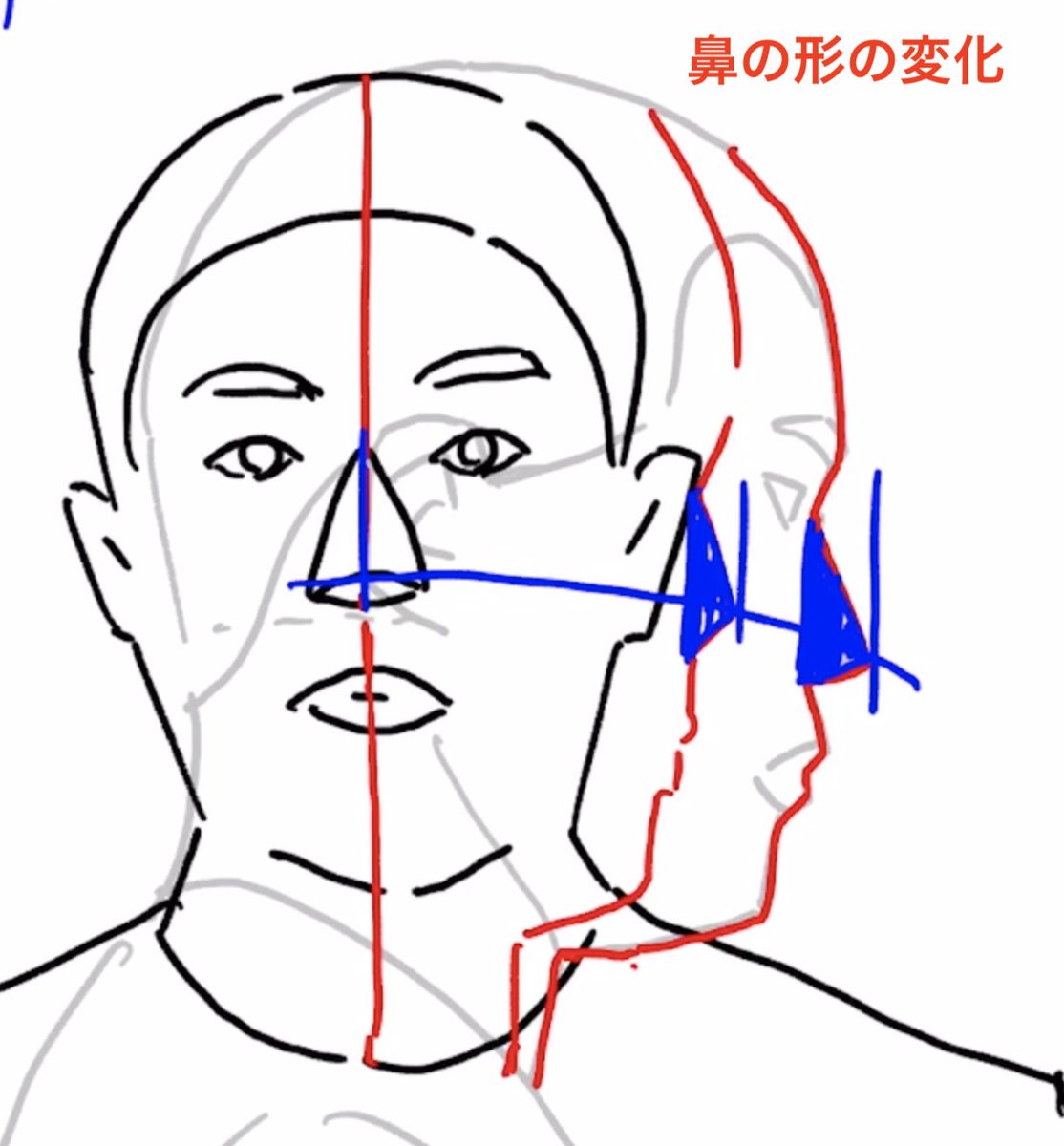 斜め顔の特徴 斜め45度で輪郭は約70 横顔に近い形になる 目と耳は アニメ私塾の漫画