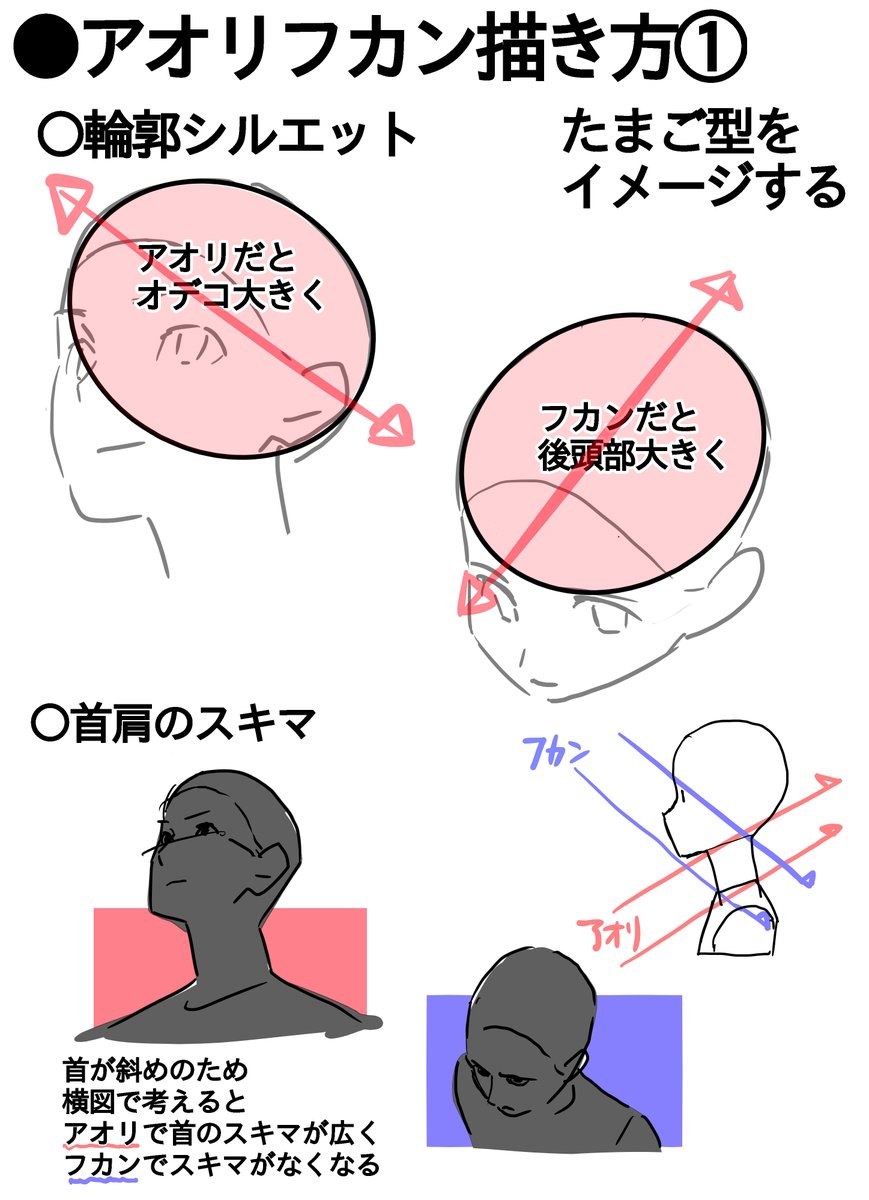 تويتر アニメ私塾 على تويتر アオリフカンの顔の描き方 アオリとフカンの顔で全く違う顔の配置になる アオリで眉毛と目は離れる フカンで目と眉毛は近づく など 正面の顔のイメージだけでやりくりしようとすると平面的な顔になる だからポイントを抑えた上