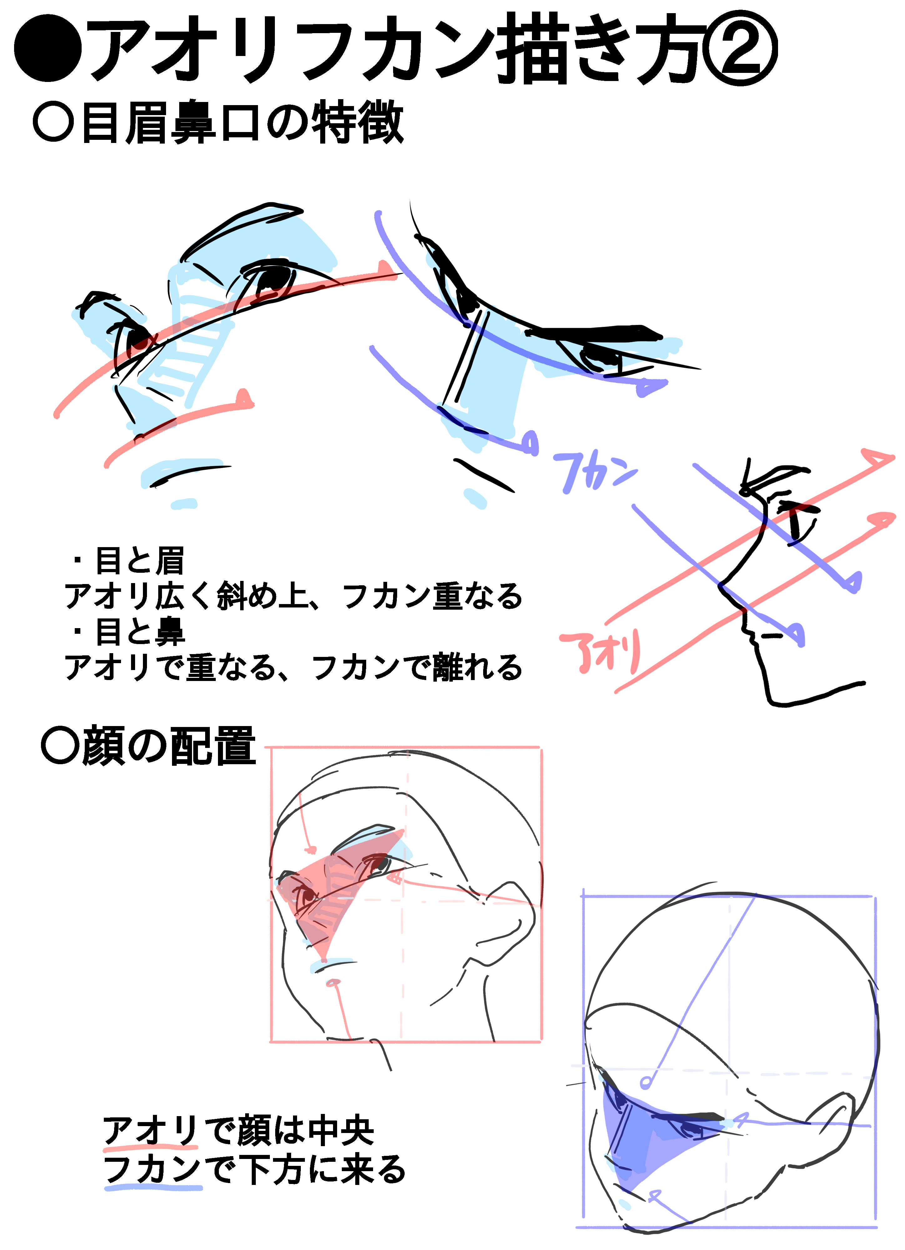 Twitter 上的 アニメ私塾 アオリフカンの顔の描き方 アオリとフカンの顔で全く違う顔の配置になる アオリで眉毛と目は離れる フカンで目と眉毛は近づく など 正面の顔のイメージだけでやりくりしようとすると平面的な顔になる だからポイントを抑えた上で