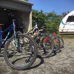 ツイートに含まれる画像